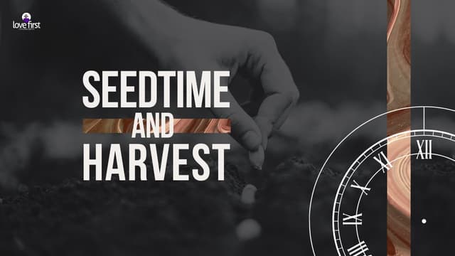 You Reap What You Sow - Love First